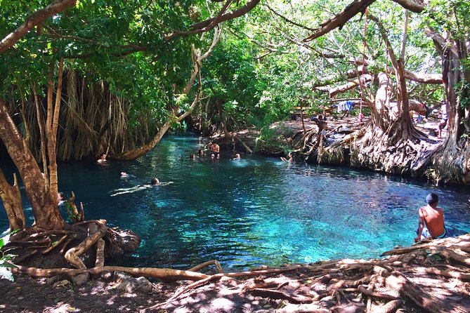 Kikuletwa hot springs